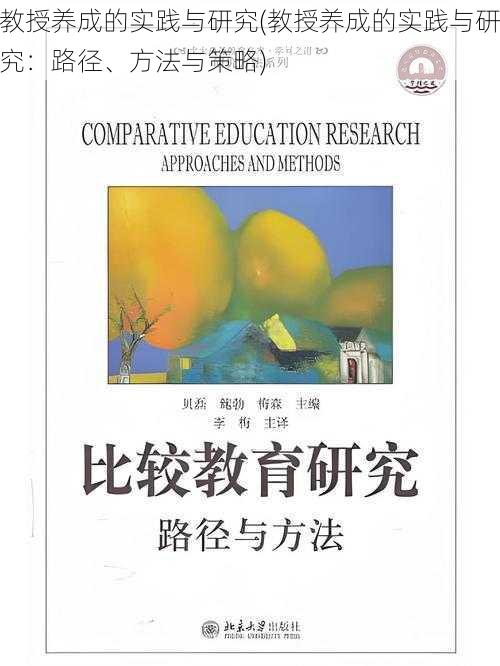 教授养成的实践与研究(教授养成的实践与研究：路径、方法与策略)