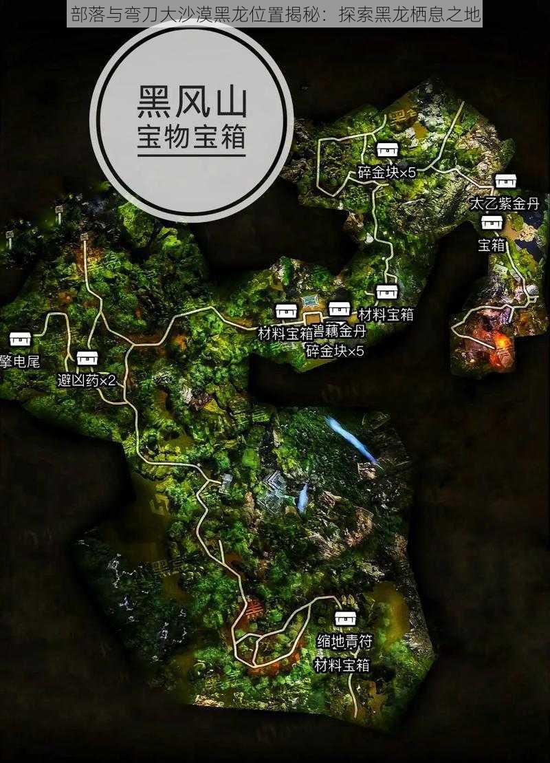 部落与弯刀大沙漠黑龙位置揭秘：探索黑龙栖息之地