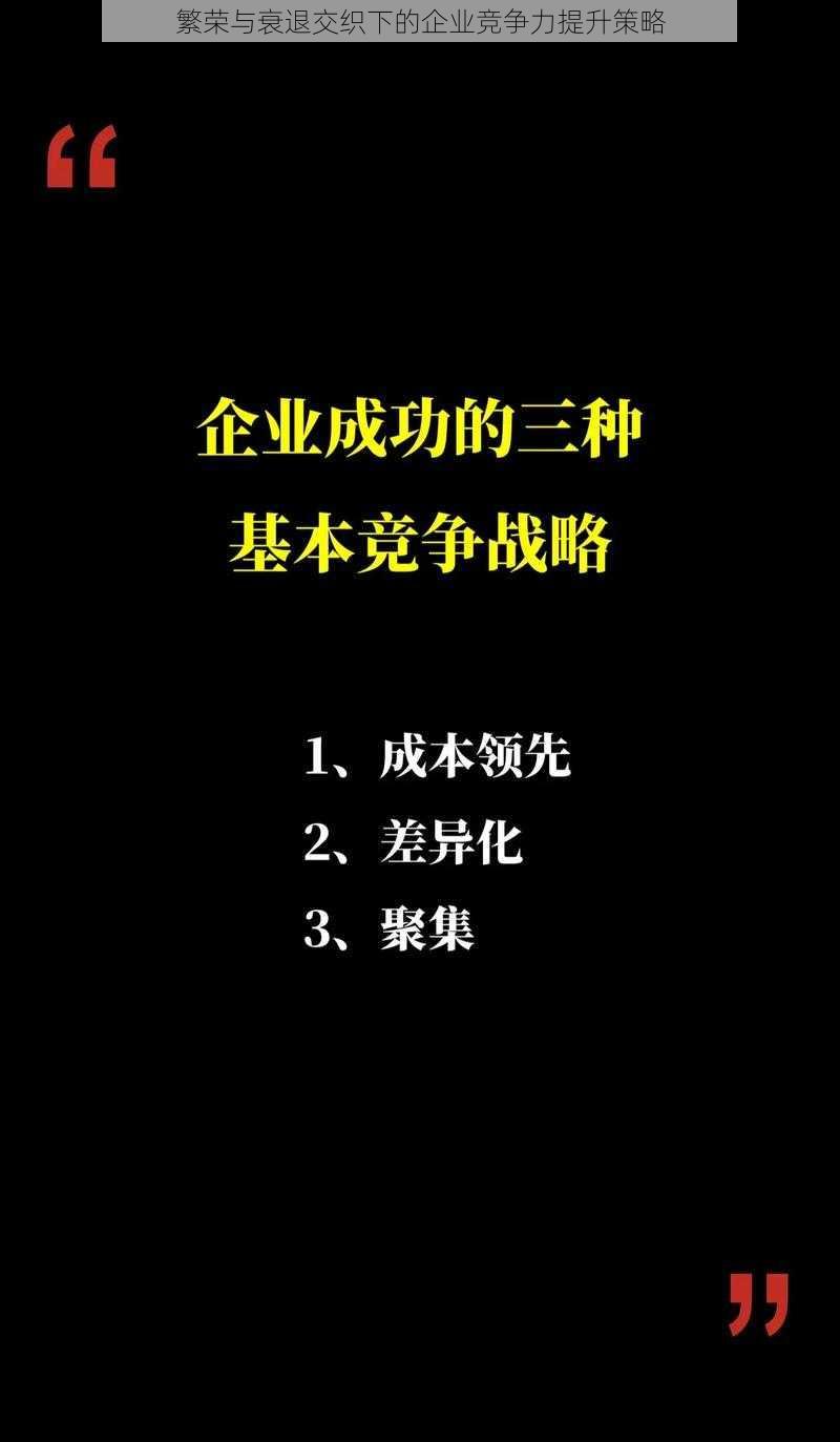 繁荣与衰退交织下的企业竞争力提升策略