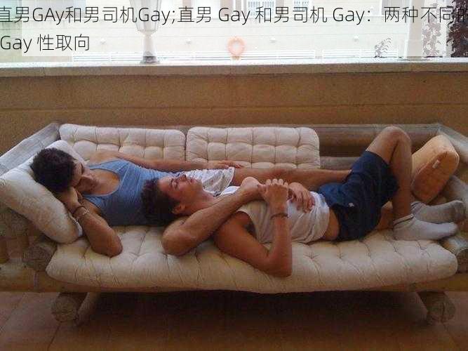 直男GAy和男司机Gay;直男 Gay 和男司机 Gay：两种不同的 Gay 性取向