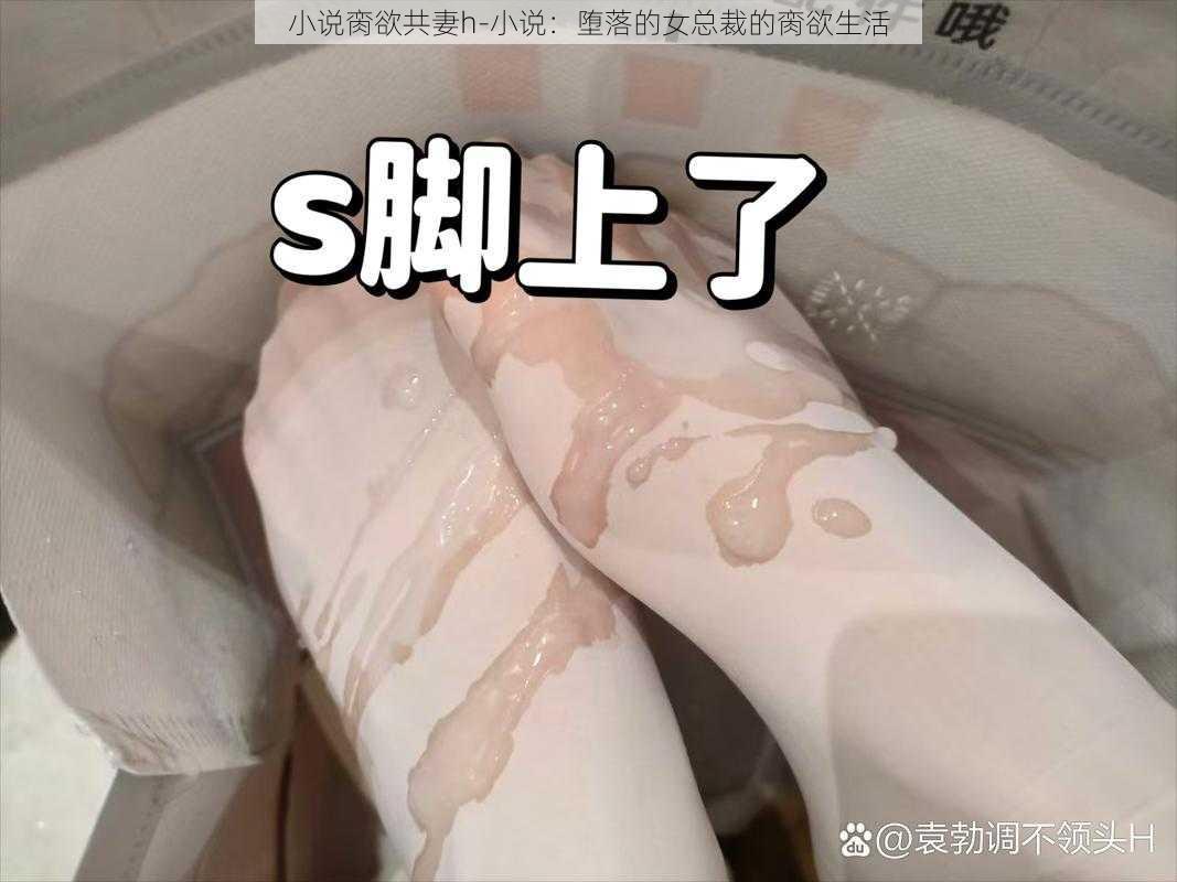 小说脔欲共妻h-小说：堕落的女总裁的脔欲生活