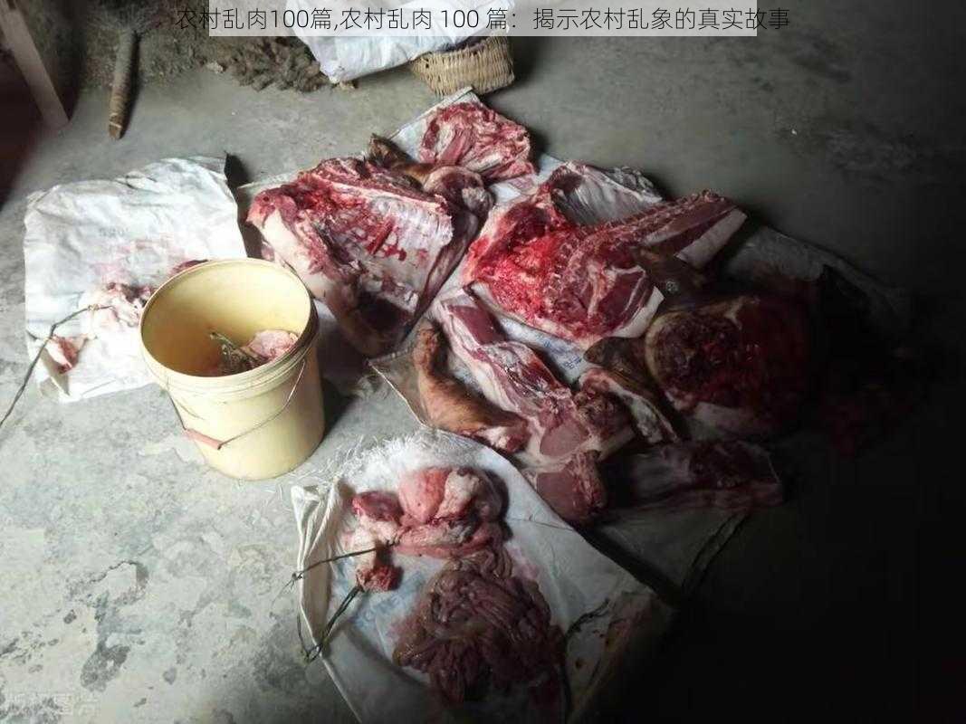 农村乱肉100篇,农村乱肉 100 篇：揭示农村乱象的真实故事