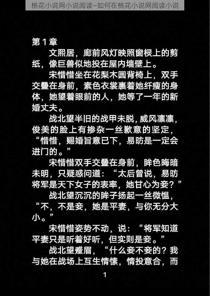 桃花小说网小说阅读—如何在桃花小说网阅读小说