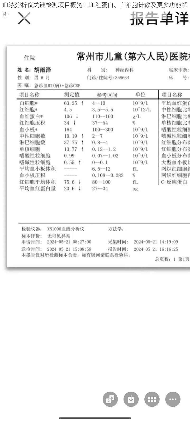 血液分析仪关键检测项目概览：血红蛋白、白细胞计数及更多功能解析