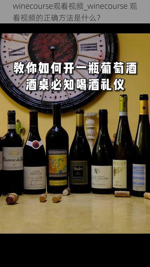 winecourse观看视频_winecourse 观看视频的正确方法是什么？