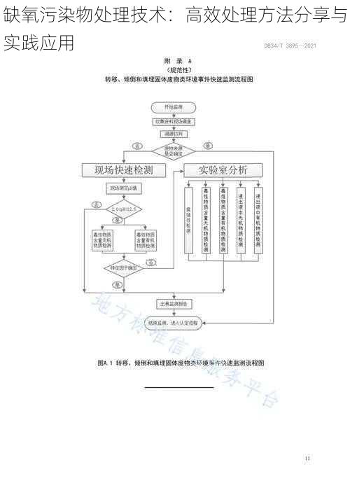 缺氧污染物处理技术：高效处理方法分享与实践应用