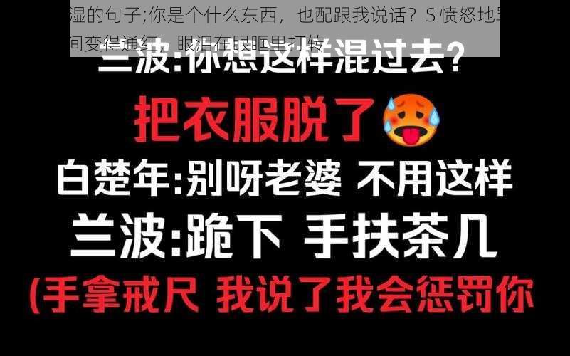 S把M骂湿的句子;你是个什么东西，也配跟我说话？S 愤怒地骂道，M 的脸瞬间变得通红，眼泪在眼眶里打转