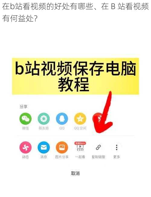 在b站看视频的好处有哪些、在 B 站看视频有何益处？