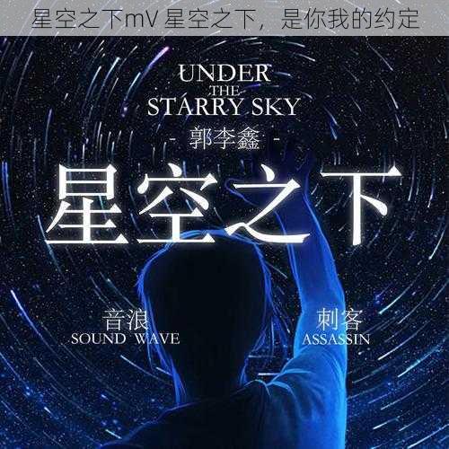 星空之下mV 星空之下，是你我的约定