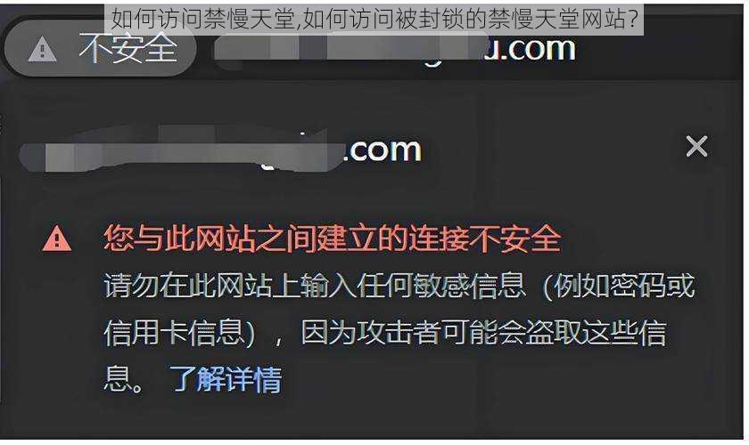 如何访问禁慢天堂,如何访问被封锁的禁慢天堂网站？