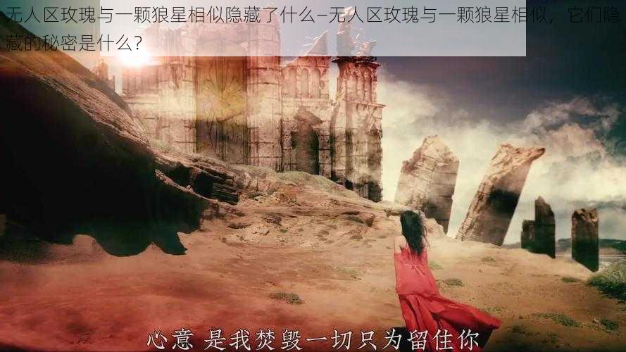 无人区玫瑰与一颗狼星相似隐藏了什么—无人区玫瑰与一颗狼星相似，它们隐藏的秘密是什么？