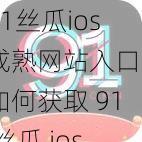 91丝瓜ios成熟网站入口—如何获取 91 丝瓜 ios 成熟网站入口？