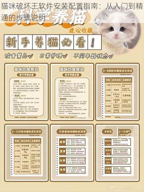 猫咪破坏王软件安装配置指南：从入门到精通的步骤说明