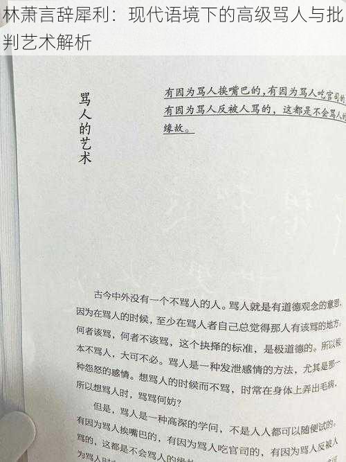 林萧言辞犀利：现代语境下的高级骂人与批判艺术解析