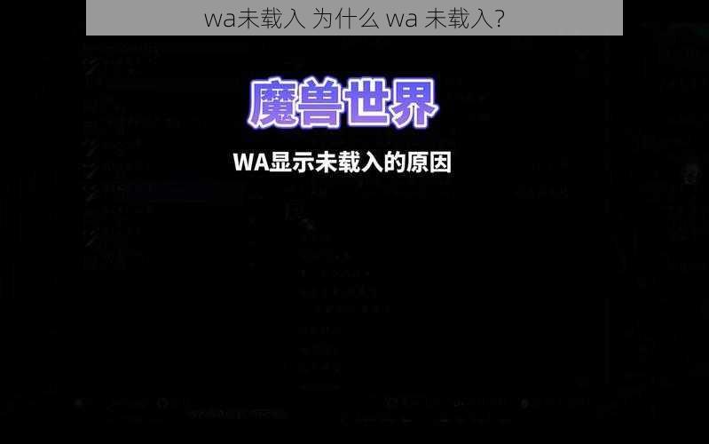 wa未载入 为什么 wa 未载入？