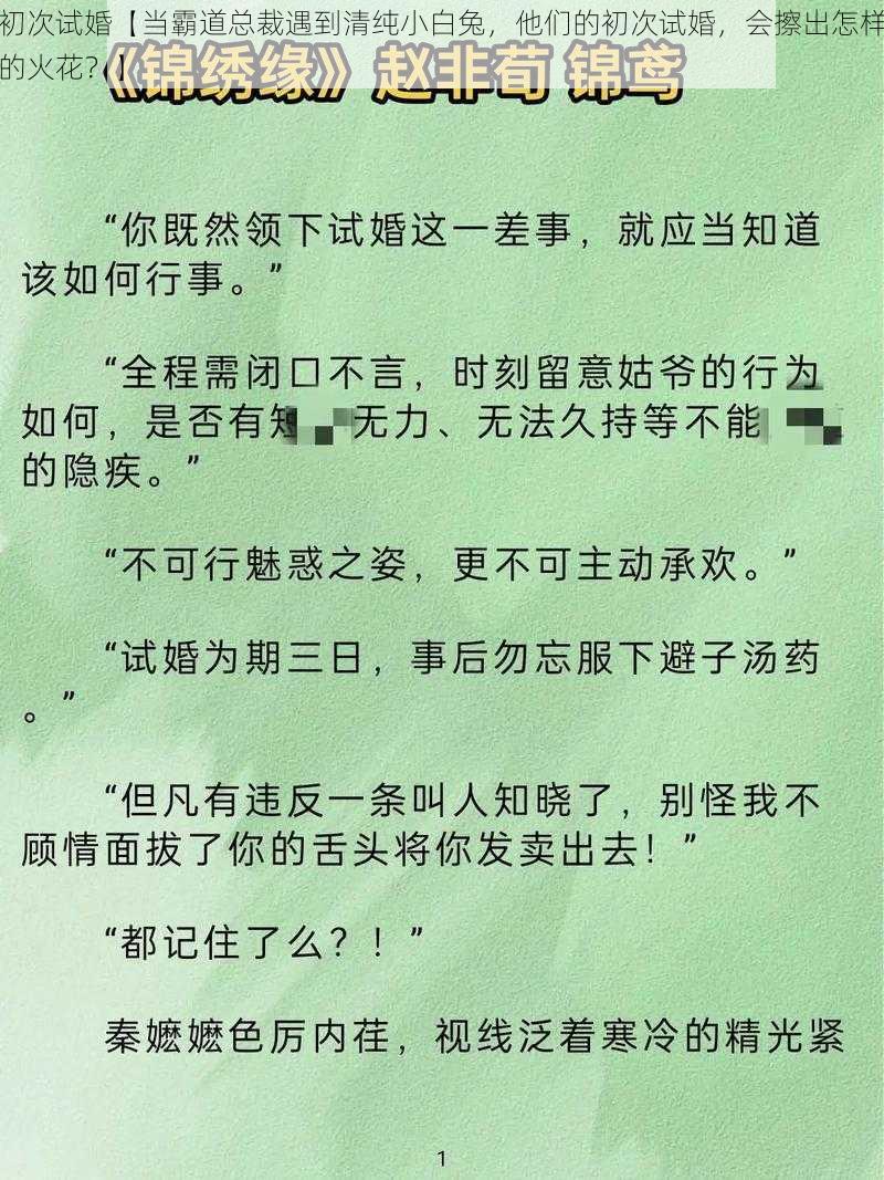 初次试婚【当霸道总裁遇到清纯小白兔，他们的初次试婚，会擦出怎样的火花？】