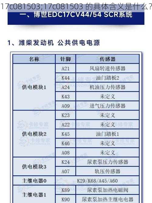 17c081503;17c081503 的具体含义是什么？