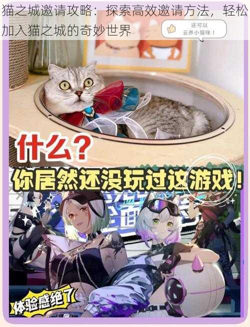 猫之城邀请攻略：探索高效邀请方法，轻松加入猫之城的奇妙世界