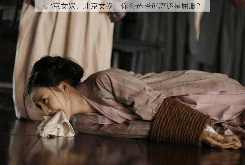 北京女奴、北京女奴，你会选择逃离还是屈服？