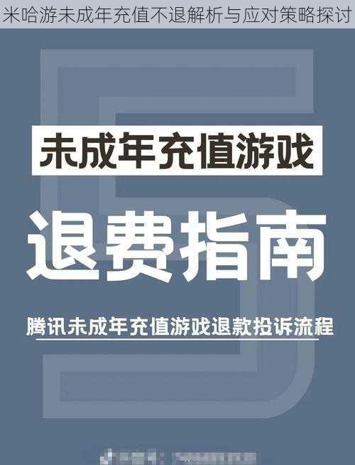 米哈游未成年充值不退解析与应对策略探讨