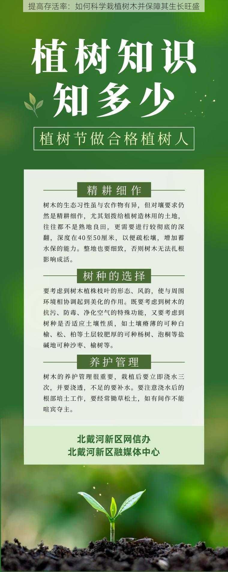 提高存活率：如何科学栽植树木并保障其生长旺盛