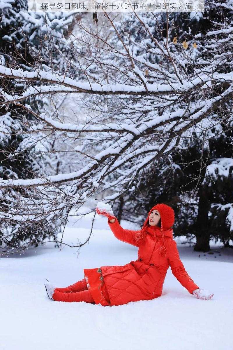 探寻冬日韵味，留影十八时节的雪景纪实之旅