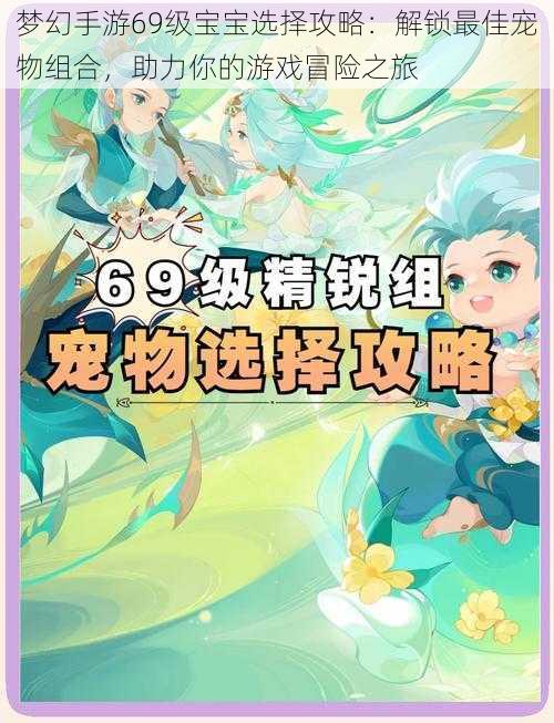 梦幻手游69级宝宝选择攻略：解锁最佳宠物组合，助力你的游戏冒险之旅