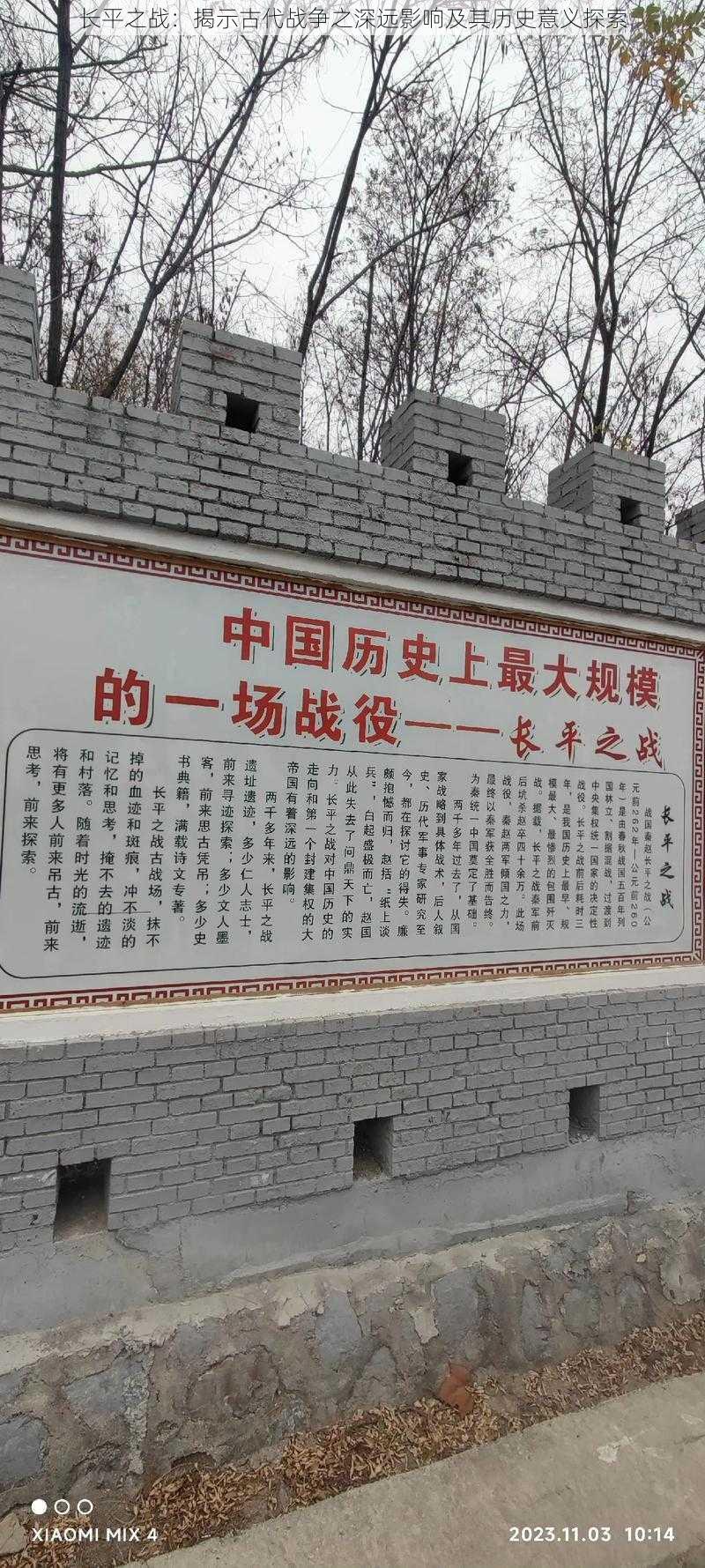 长平之战：揭示古代战争之深远影响及其历史意义探索