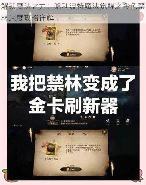 解锁魔法之力：哈利波特魔法觉醒之金色禁林深度攻略详解