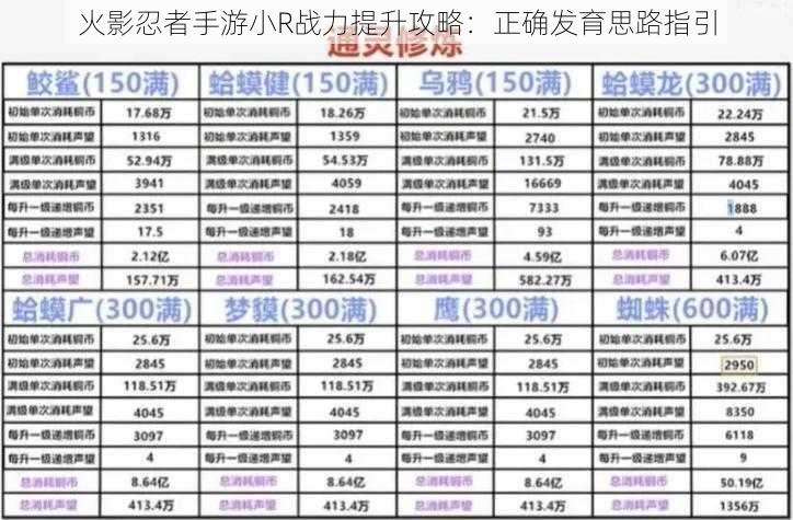 火影忍者手游小R战力提升攻略：正确发育思路指引