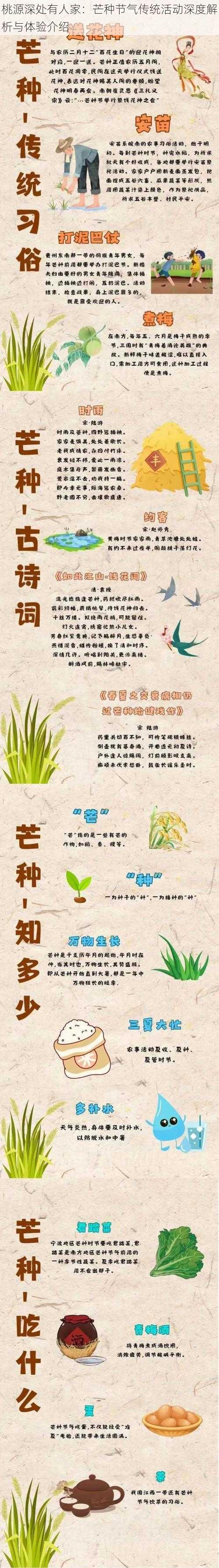 桃源深处有人家：芒种节气传统活动深度解析与体验介绍