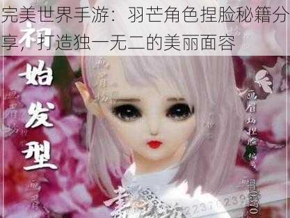 完美世界手游：羽芒角色捏脸秘籍分享，打造独一无二的美丽面容