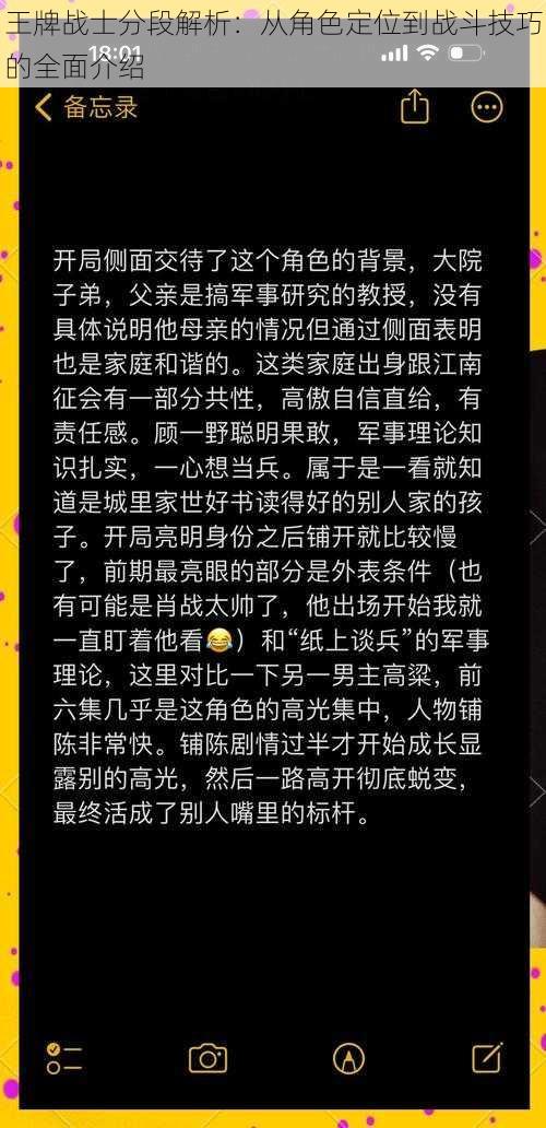 王牌战士分段解析：从角色定位到战斗技巧的全面介绍