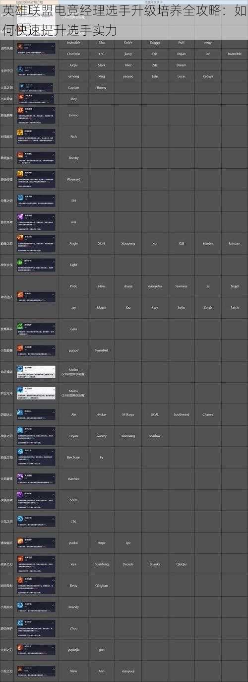 英雄联盟电竞经理选手升级培养全攻略：如何快速提升选手实力